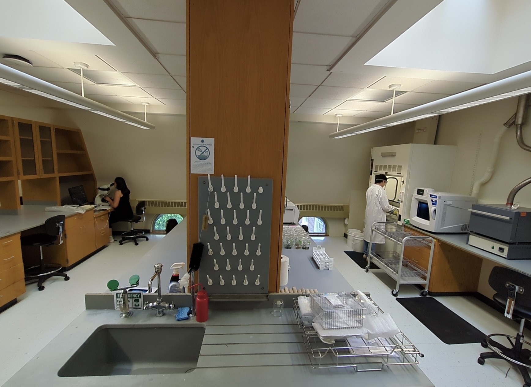 Integrated Laboratory for Archaeological Sciences (ILAS)