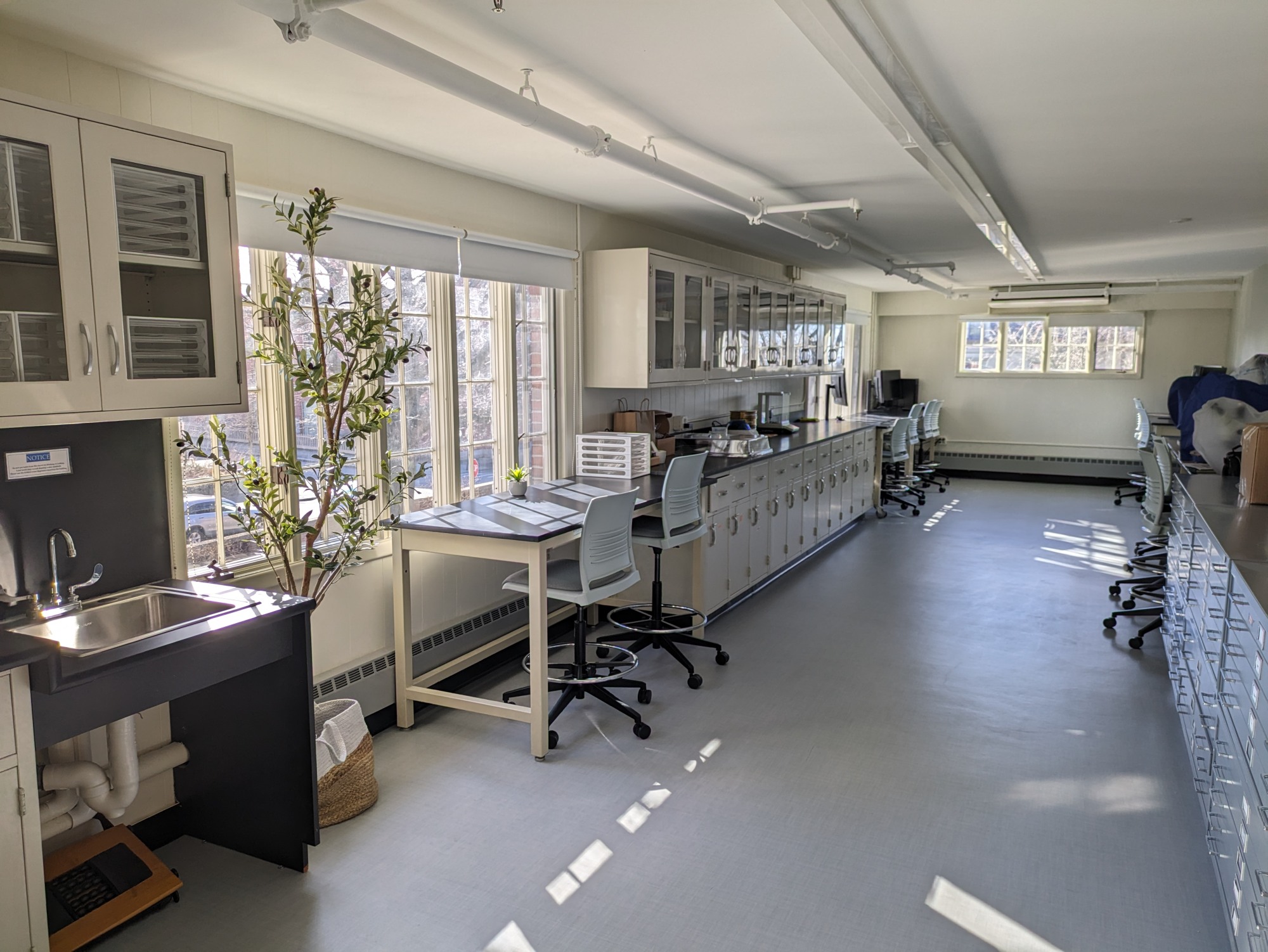 Paleoethnobotany Laboratory at Brown (PEBLab)