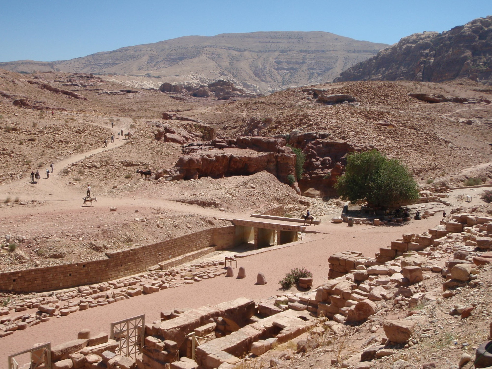 Petra Archaeological Project