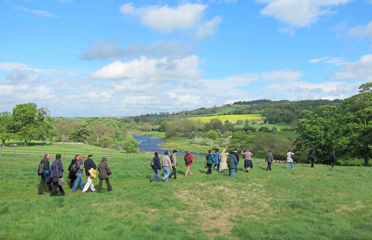 Long line of people walking across bright green meadow