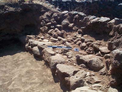 Fig. 12. Trench 5. Terrace wall facing the area excavated in 1974-1977 seen from the interior. The terracing rests against a wall made of larger stones and belonging to an earlier period.